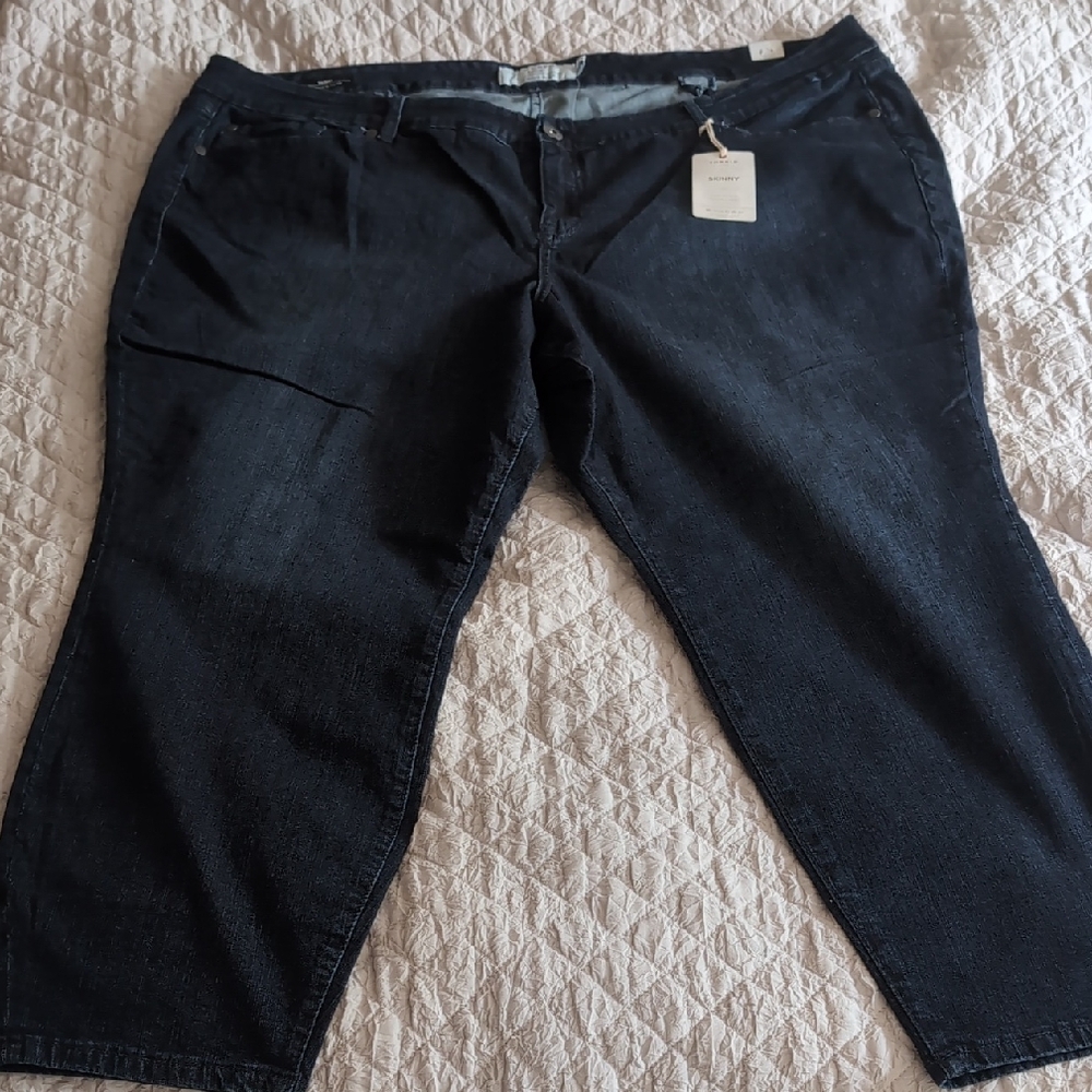 torrid Denim Women's Black Jeans